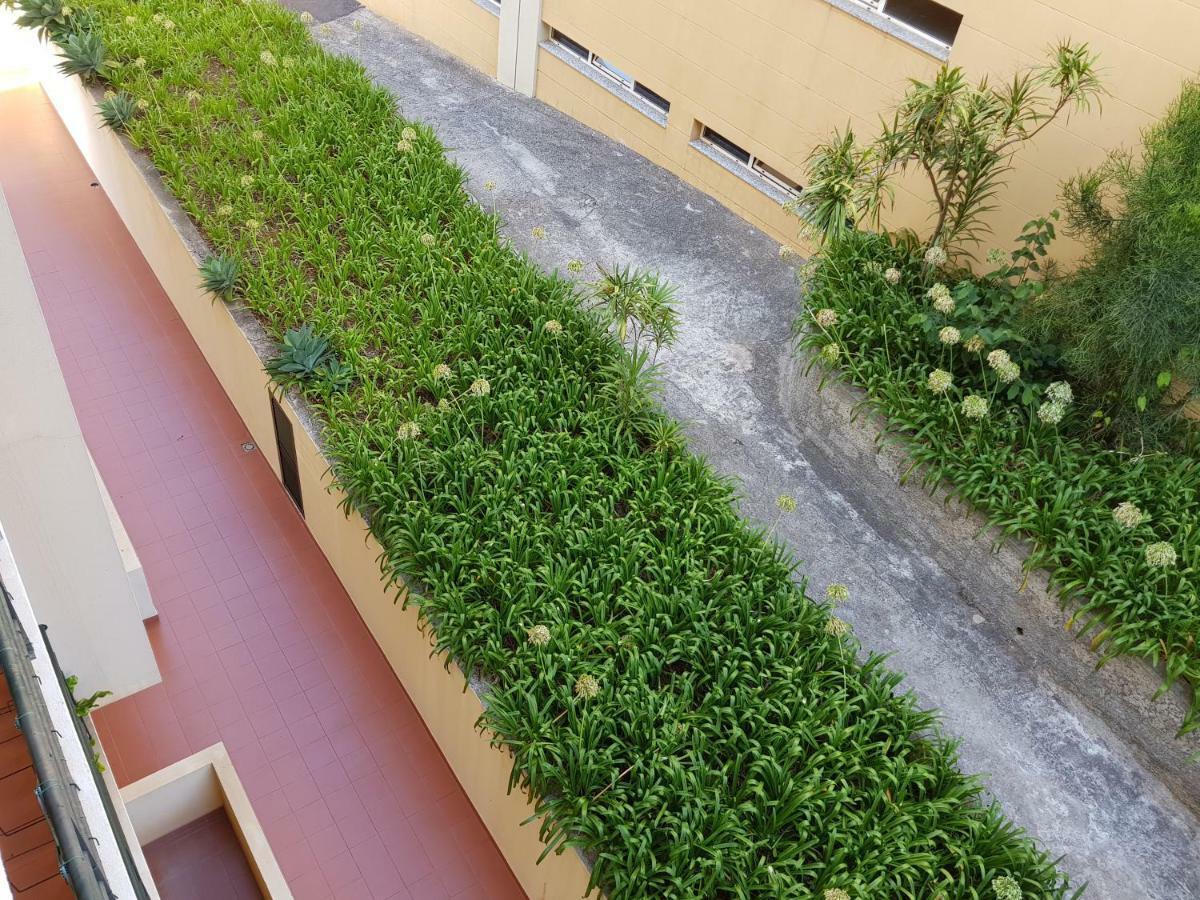 פונשל Vila Regia מראה חיצוני תמונה